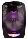 N-GEAR FLASH THE FLASH 1210 BT speaker 300W USB MICRO SD DO 2x MIC