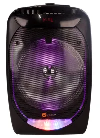 N-GEAR FLASH THE FLASH 1210 BT enceinte 300W USB MICRO SD DO 2x MIC (1 of 5)