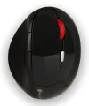 Souris NGS EVOERGO Sans Fil Ergonomique USB