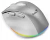 GENIUS Ergo 9000S Pro Silber Dual Bluetooth + 24 GHz 2400 dpi Wireless 6 Tasten wiederaufladbar RGB Silber thumbnail (4 of 7)