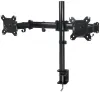 ARCTIC Z2 Basic table mount for 2 monitors 13"-32" LCD VESA 2x 8 kg black