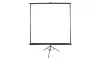 Treppiede mobile per schermo ELITE SCREENS 113" (287 cm) 1:1 203,2 x 203,2 cm Custodia Gain 11 nera thumbnail (2 of 2)