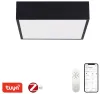 IMMAX NEO CANTO SLIM Розумний стельовий світильник 28x28см 22W 1610lm чорний Zigbee 3.0 TUYA thumbnail (1 of 2)