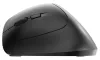 Souris CHERRY MW 4500 GAUCHE ergonomique pour GAUCHER 600/900/1200 DPI 6 boutons récepteur mini USB noir thumbnail (2 of 4)