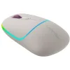 CANYON optical wireless mouse MW-22 RGB 800 1200 1600 dpi 4 keys BT+2.4GHz battery 650mAh rice thumbnail (3 of 11)