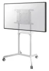 Neomounts NS-M1250WHITE Soporte de Suelo para Pantalla Plana Móvil (altura: 160 cm) Blanco