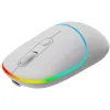 Mouse óptico sem fio CANYON MW-22 RGB 800 1200 1600 dpi 4 teclas BT+2.4GHz bateria 650mAh branco neve