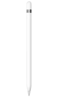 Apple Pencil (1re génération) (2022) (1 of 3)