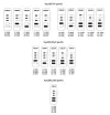 CubeNest S5D0 GaN-adapter 140W (3x USB-C tot 140W 2x USB-A tot 60W) PD 3.1 overspannings- en onderspanningsbeveiligingsdisplay thumbnail (6 of 6)