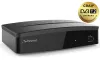 STRONG DVB-T T2 decodificador SRT 8209 Full HD H.265 HEVC CRA verificado PVR EPG USB HDMI LAN SCART negro