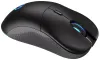 Mysz Endorfy GEM Plus Wireless PAW3395 Khail GM 8.0 bezprzewodowa czarna thumbnail (4 of 10)