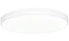 IMMAX NEO LITE AREAS SMART ceiling light 51cm 48W white TUYA Wi-Fi thumbnail (1 of 3)