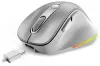 GENIUS Ergo 9000S Pro Silver Dual Bluetooth + 24GHz 2400dpi Wireless 6 Button Rechargeable RGB Silver thumbnail (5 of 7)