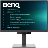 BENQ 24" LED RD240Q 2560x1600 IPS panel 1000:1 5ms HDMI DP USB-C Pivot height adjustable eye care features black (1 of 8)