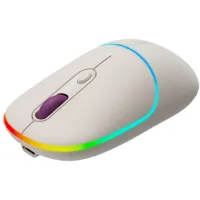 CANYON optical wireless mouse MW-22 RGB 800 1200 1600 dpi 4 keys BT+2.4GHz battery 650mAh rice (1 of 11)