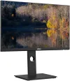 DAHUA 24" LED LM24-P301A IPS панель 2560x1440 (QHD) 1000:1 6 мс 320 кд м2 HDMI DP USB-C PIVOT VESA 75x75 чорний