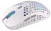 Ratón Endorfy LIX OWH Wireless PAW3335 Khail GM 4.0 inalámbrico blanco thumbnail (3 of 10)