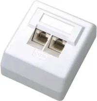 DATACOM Data socket UTP CAT6 2xRJ45 on plaster 45st. white (1 of 1)