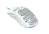 CANYON wired gaming mouse Puncher GM-11 sensor Pixart PAW3519 macros white thumbnail (3 of 6)