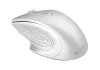 Mouse ottico wireless CANYON MW-15PW risoluzione regolabile 800 1200 1600 dpi 4 tl ricevitore USB bianco perla thumbnail (5 of 6)