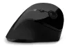 CONECTE-O PARA A SAÚDE Mouse vertical ergonômico brilhante (+ 1x bateria AA grátis) sem fio PRETO