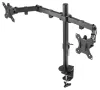 Neomounts FPMA-D550DBLACK Borddisplayholder 10-32" VESA klemme 100X100 bæreevne 2x 8kg 2 displays sort thumbnail (4 of 7)