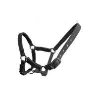 Coleira HELMER para localizador GPS Helmer LK 515 - Cabeça para animais de fazenda, por exemplo, cavalos e vacas com circunferência do pescoço de até 95 cm (1 of 1)