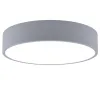 IMMAX NEO RONDATE SMART ceiling light 60cm 50W gray Zigbee 3.0 TUYA