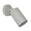 IMMAX PARED spotlight ceiling and wall light outdoor gray thumbnail (1 of 1)